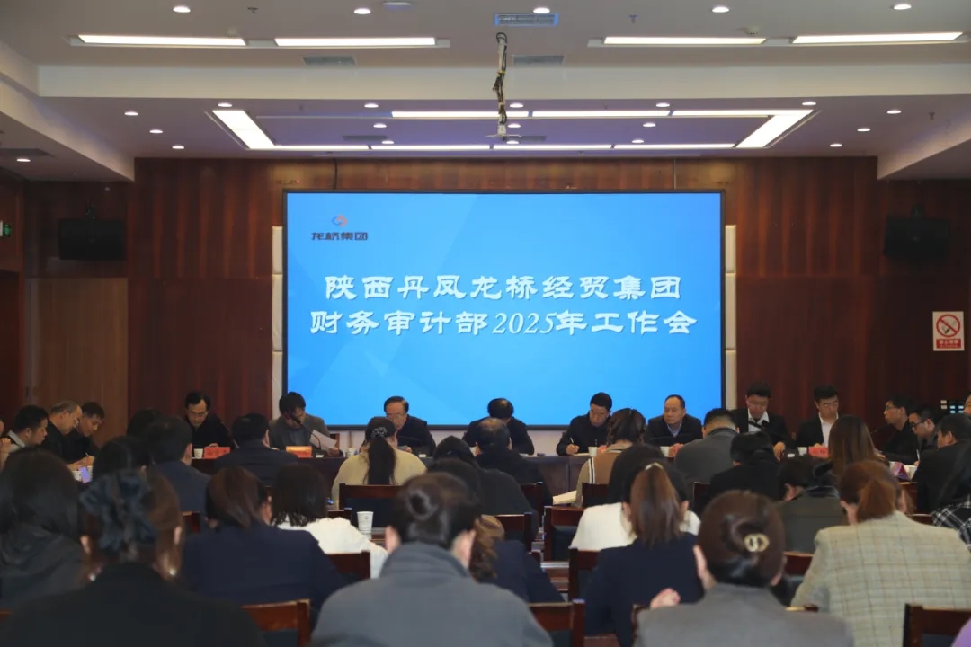 陕西丹凤龙桥经贸集团召开2025年财务审计工作会